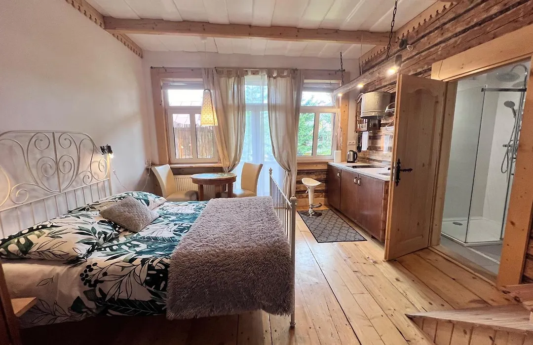 Willa Jasna Apartamenty centrum Zakopane-1